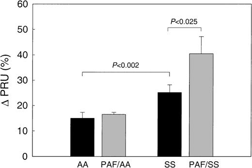 Fig. 2. The effect of PAF on the hemodynamic behavior of AA and SS RBC in the ex vivo mesocecum vasculature. / In untreated (control) preparations, SS RBC (n = 4) resulted in a 1.6-fold increase in the PRU compared with AA RBC (P < .002). In PAF (200 pg/mL)-treated preparations, SS RBCs caused a 1.6-fold increase in PRU compared with SS RBC infusions from the same patients in untreated preparations (P < .025, pairedt-test). In contrast, PAF had no effect on PRU for AA RBC.
