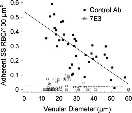 Fig. 6. Linear regression plots for the number of adherent SS RBC/100 μm2 according to the venular diameter in preparations treated with 7E3 F(ab′)2 (or a control antibody) and PAF. / In the presence of OC125 F(ab′)2 (control antibody), PAF caused a pronounced adhesion of SS RBC that was inversely correlated with the vessel diameter (r = −.72, P < .00001). In contrast, 7E3 resulted in marked inhibition of SS RBC adhesion in venules, particularly in small-diameter venules (the sites of maximal adhesion and frequent blockage) that resulted in a lack of correlation between adhered cells and the vessel diameter (r = −.04, P > .78). A comparison of the two regression lines revealed pronounced differences in intercepts (OC125/PAF/SS 0.54 ± 0.04, 7E3/PAF/SS 0.03 ± 0.01; P < .0001).