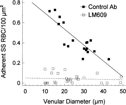Fig. 7. Linear regression plots for the number of adherent SS RBC/100 μm2 according to the venular diameter in preparations treated with LM609 (or IgG) and PAF. / In the presence of IgG, PAF caused a pronounced adhesion of SS RBC that was inversely correlated with the vessel diameter (r = −.85,P < .00001). In contrast, LM609 caused a significant inhibition of SS RBC adhesion, particularly in small-diameter venules (the sites of maximal adhesion and frequent blockage), resulting in a lack of correlation between the diameter and the number of adherent cells (r = −.08, P > .68). A comparison of the two linear regression lines confirmed marked differences between intercepts (control Ab/PAF/SS 0.85 ± 0.07, LM609/PAF/SS 0.05 ± 0.02;P < .0001).
