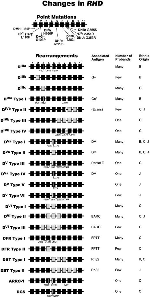Fig. 4. Molecular bases of partial D phenotypes. / The different alleles of RHD that cause partial D phenotypes are depicted here graphically. The genetic structure of each partial DRHD 10-exon gene is shown, as are associated low-incidence antigen(s) and the estimated gene frequency. RHD (ie, wild type) exons are shown as black boxes; where they have been replaced byRHCE equivalents is shown as white boxes. Missense mutations are indicated within the exon where they occur. We have used the original Roman numeral notation (ie, DII to DVII) and the more recent 3-letter notation (eg, DFR, DBT) for the different D categories. Where partial D phenotypes have identical (or very similar) serologic profiles but different genetic backgrounds, we have adapted the classification originally described by Mouro et al190 to describe different DVIphenotypes (types I and II). Thus, we depict DIV types I to IV, DV types I to VI; DVI types I to III, and DFR types I and II. We use DVa to indicate the presence of the DW antigen and DV to represent samples that have a similar molecular background but that either do not express the DW antigen or have not been tested for this antigen.Few = 1 to 10 examples. Many = 11 or more examples as indicated by serological testing. DVII is common (1 in 900) in the German population.191 Under “Ethnic Origin,” B = black, C = Caucasian, and J = Japanese. The information used for the point mutations used in this figure are as follows: D+G−106; DNU and DII 192; DHMi 92; DVII 193; DVa 71194 DFW195; DHR.196 The information used for the rearrangements in this figure was obtained from the following: DIIIa197; DIIIb 106; DIIIc 198; DIVa type I 194; DIVbtype II194; DIVb type III92; DIVb type IV195; DVa type I194; DVa type II194; DV type III102; DVa type IV156; DV type V156; DVtype VI156; DVI type I199200; DVI type II190; DVI type III71; DFR type I194; DFR type II201; DBT type I202; DBT type II203; ARRO-1204; DCS205.
