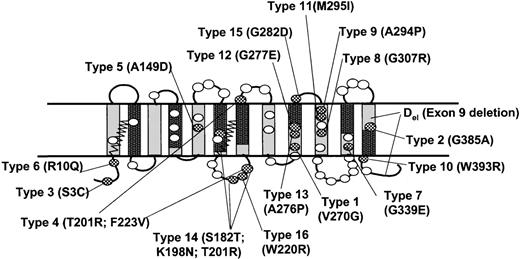 Fig. 5. Molecular basis of weak D phenotypes. / This figure depicts missense mutations in the RHD gene associated with weak D phenotypes.92153 The locations of these mutations on the predicted topology of the RhD protein are depicted as checkered ovals; the D-specific amino acids are shown as open ovals. Most of the missense mutations are located within nonconserved membrane spans (gray) and cytoplasmic regions. Regions of conserved Rh protein family sequence are indicated as black rectangles.