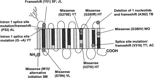Fig. 7. Localization of molecular defects on RhAG. / The regulator type of Rhnull is associated with 2 mutantRHAG genes (homozygote or double heterozygote). The mutations include splice site/frameshift alterations and missense mutations (gray circles). The missense changes predominantly occur within conserved Rh protein family domains (black rectangles), within membrane-spanning regions. It is thought that missense mutations affect either RhAG-RhAG associations/RhAG-Rh protein assocations, resulting in an absence of the Rh protein family from mature RBC membranes. The Rhmodphenotype is associated with missense mutations (crosshatched circles), which lead to a marked reduction of the RhAG-Rh protein complex in mature RBC membranes. The initials refer to the probands. The information used in this figure was obtained from the following: SM209; SF, JL174; AL177; YT27175; VL174; HT 210; TT, AC22; TB174; WO210.