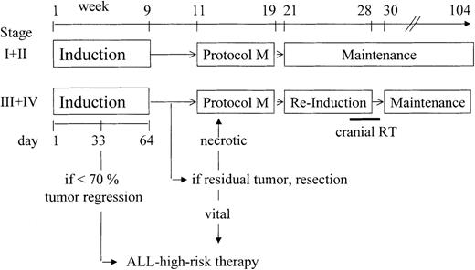Fig. 1. General treatment strategy. / RT indicates radiotherapy; the composition of treatment protocols are given in Table 1.