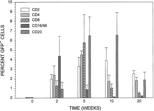 Fig. 4. Subset analysis at 2, 5, 10, and 20 weeks posttransplant (CD2, CD4, CD8, CD16/56, and CD20) in high-dose animals. / T lymphocytes expressing CD2, CD4, CD8, and/or CD16/56, and B-lymphocytes expressing CD20 were evaluated by flow cytometry for coexpression of EGFP. Data are the mean percentage ± SEM (standard error of the mean) of these T and B lymphocytes expressing EGFP.