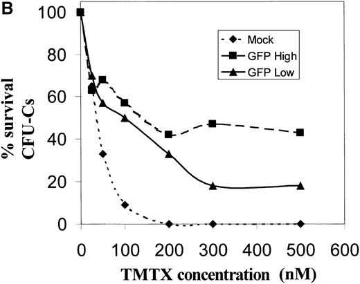 Fig. 6. Resistance to trimetrexate in transduced CD34+ cells expressing high or low amounts of EGFP. / (A) Sorting based on EGFP expression. Peripheral blood CD34+ cells were transduced with the MGirL22Y-Pre vector and sorted based on mean EGFP. Based on EGFP expression levels, 2 populations were isolated and defined as EGFP-high and EGFP-low based. The top panel shows the sorting gates used on the bulk transduced population, and the lower panels show the reanalysis for EGFP expression in the 2 sorted populations. Note the relationship between the mean expression in these 2 sorted populations and the mean EGFP expression seen in granulocytes and lymphocytes (Figure 1). (B) Trimetrexate resistance in CFU-C derived from sorted cells. Myeloid colony survival is shown in cultures containing increasing concentrations of trimetrexate. Survival curves were generated for mock-transduced cells (♦, short-dashed line), sorted EGFP high cells (▪, long-dashed line), and EGFP low cells (▴, solid line). Colony survival was calculated as the % CFU-C on drug-containing plates relative to drug-free plates. The total number of myeloid colonies was scored after 10 days of growth.