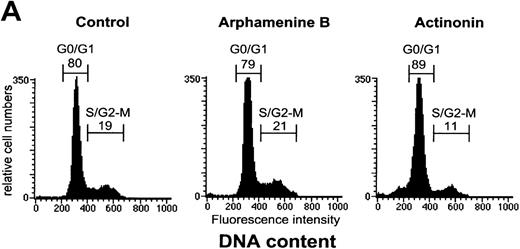 Fig. 5. Effect of the inhibition of APN activity on the cell cycle and the induction of apoptosis. / Culture day 7 cells were incubated overnight with or without 10−4 mol/L arphamenine B or actinonin before being examined. (A) DNA content was determined by flow cytometry after ethanol fixation, permeabilization and PI staining: percentages of cells in the G0/G1 or S/G2-M phase, assessed relative to viable cell numbers, are indicated; data are from 1 representative experiment out of 7. (B) Nuclear morphology was visualized by ultraviolet light microscopy after Hoechst 33 342 staining; the arrow shows a typical apoptotic cell; data are from 1 experiment of 3. (C) Surface expression of inner membrane PS was evaluated by flow cytometry after Annexin-V staining: the percentage of cells with increased PS expression is indicated; data are from 1 experiment of 4.