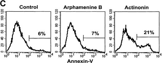 Fig. 5. Effect of the inhibition of APN activity on the cell cycle and the induction of apoptosis. / Culture day 7 cells were incubated overnight with or without 10−4 mol/L arphamenine B or actinonin before being examined. (A) DNA content was determined by flow cytometry after ethanol fixation, permeabilization and PI staining: percentages of cells in the G0/G1 or S/G2-M phase, assessed relative to viable cell numbers, are indicated; data are from 1 representative experiment out of 7. (B) Nuclear morphology was visualized by ultraviolet light microscopy after Hoechst 33 342 staining; the arrow shows a typical apoptotic cell; data are from 1 experiment of 3. (C) Surface expression of inner membrane PS was evaluated by flow cytometry after Annexin-V staining: the percentage of cells with increased PS expression is indicated; data are from 1 experiment of 4.