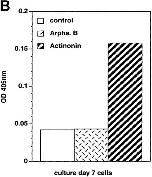 Fig. 6. Cell expression of molecules known to be involved in apoptosis. / Culture day 7 cells were incubated as indicated in the legend of Figure5. (A) Flow cytometry analysis of Bcl-2 and Fas (CD95) expression; open histograms: labeling with the irrelevant mAb; shaded histograms: staining by the relevant mAb; data are from 1 experiment of 7 (Bcl-2) or 2 (Fas). (B) Assay of caspase-3 activity in cells: cell lysates were incubated for 10 hours with Ac-DEVD-pNa, the cleavage of which was assessed at 405 nm; data are from 1 experiment of 3.