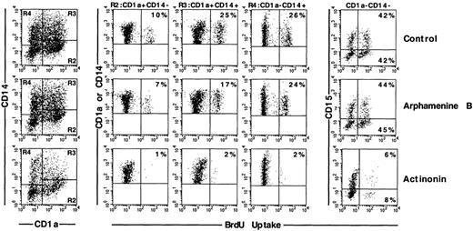 Fig. 7. Effect of the inhibition of APN activity on the cell cycle of the different populations of cultured cells. / Culture day 7 cells were incubated as indicated in the legend of Figure5, and labeled with BrdU, and with CD1a, CD14, and CD15 mAb; cells were gated according to CD1a and/or CD14 and CD15 expression. Results are shown as flow cytometry 2-color cytograms of BrdU incorporation into the indicated gated cells. Markers are indicated along the fluorescence intensity horizontal and vertical axes. Percentages of BrdU+ cells in each gated population are indicated in the right corners of the cytograms. Data are from 1 experiment of 6.