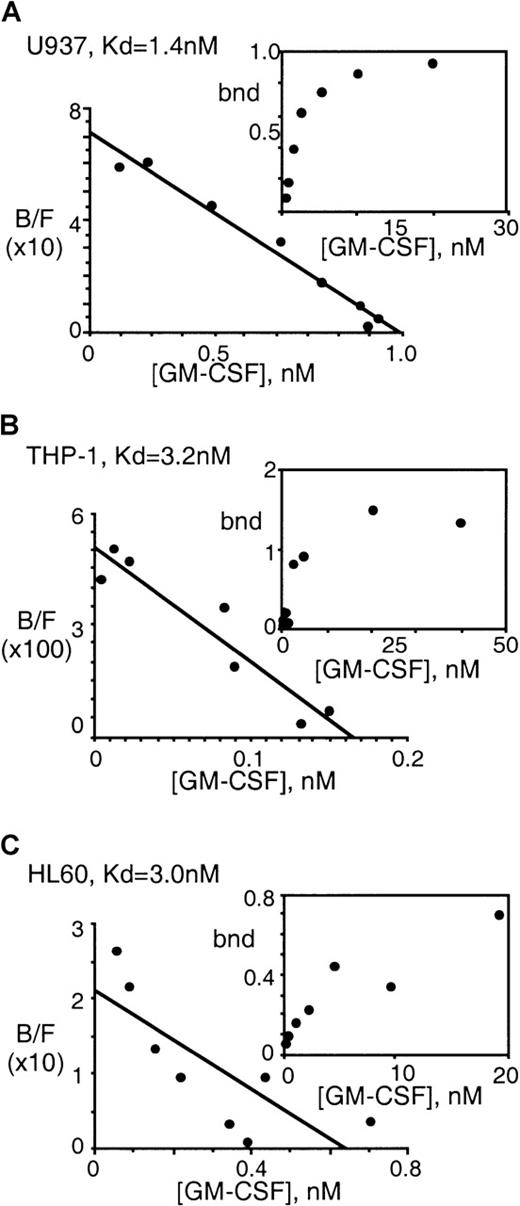 Fig. 2. Binding characteristics of the soluble GM-CSF receptor produced by human leukemic cell lines. / 125I-GM-CSF saturation binding experiments were performed on supernatant conditioned by the human leukemic cell lines shown. Before analysis the supernatants were subjected to ligand affinity column chromatography and eluted fractions were pooled, dialyzed against distilled H2O lyophilized and resuspended in 500 μL PBS. Shown are Scatchard analysis and saturation binding curves (inset) of representative experiments for U937 (A) (n = 6), THP-1 (B) (n = 5), and HL60 (C) (n = 2) cells.