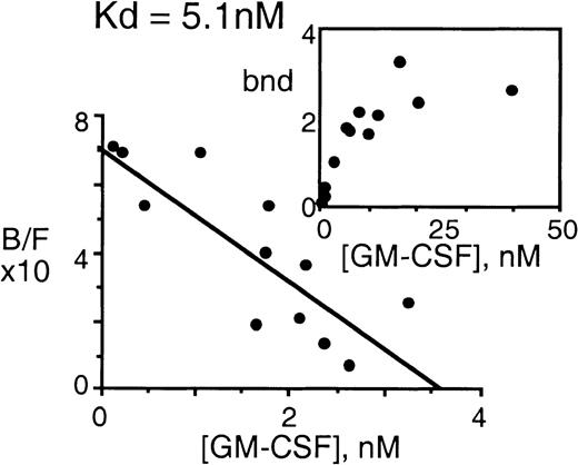 Fig. 4. Binding characteristics of the soluble GM-CSF receptor identified in PBSC and bone marrow products. / Plasma conditioned by PBSC products was subjected to Con-A sepharose and ligand affinity column chromatography and eluted fractions were pooled, dialyzed against distilled H2O lyophilized, and resuspended in 500 μL PBS. 150 μL of each of these samples was pooled and volume reduced in a centrifugal filtration cartridge (Ultrafree® Biomax-5K NMWL membranes, Millipore Corp, Bedford, MA).125I-GM-CSF saturation binding experiments were performed on these pooled samples. Shown are Scatchard analysis and saturation binding curves (inset) of a representative experiment (n = 3).