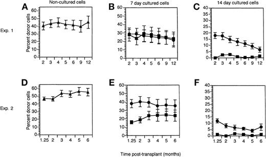 Fig. 1. The effect of ATRA on liquid suspension cultures of short- and long-term repopulating hematopoietic stem cells. / 2000 FACS-enriched hematopoietic precursors (lin− c-kit+ Sca-1+) were added to wells containing media and cytokines (SCF, IL-6, IL-11, and Flt-3-ligand), and cultured without (▪) or with (•) 1 μmol ATRA. Irradiated Ly5.1 recipients (10 mice per group) were transplanted with 1 × 105 normal Ly5.1 bone marrow cells together with 1000 noncultured (▴) Ly5.2 lin− c-kit+ Sca-1+ cells or with all cells that grew from 1000 of these precursors after 7 or 14 days in liquid suspension culture. Data are expressed as the mean ± SEM donor cell reconstitution in the peripheral blood of transplanted recipients analyzed between 5 weeks (1.25 mo) and 12 months after transplant. Results of noncultured cells (A, D), 7-day cultured cells (B, E) and 14-day cultured cells (C, F) are shown from 2 separate experiments (Exp. 1 and 2).