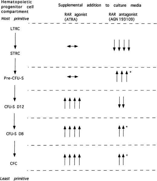 Fig. 3. Schematic depiction of the effects of RAR agonists and antagonists on cultured hematopoietic progenitor cells. / The effects of all-trans retinoic acid (ATRA) on various hematopoietic progenitor cell compartments during culture of lin− c-kit+ Sca-1+ hematopoietic precursors for 7 and 14 days with 1 μmol RAR agonist, ATRA, or 1 μmol RAR antagonist, AGN 193109, compared with the magnitude of the progenitor compartments of the noncultured hematopoietic precursors are shown. The magnitude of the effect is indicated by the number of arrows, with 1 arrow representing the smallest effect and 4 arrows representing the largest effect. Arrows indicate as follows: ↔, maintenance in potential; ↑, increase in potential; ↓, decrease in potential. *denotes effects seen only at 7 days of culture. Abbreviations: LTRC, long-term repopulating stem cell; STRC, short-term repopulating stem cell; pre–CFU-S, pre–colony-forming unit-spleen; CFU-S, colony-forming unit-spleen; D8, day 8; D12, day 12; CFC, colony-forming cell.