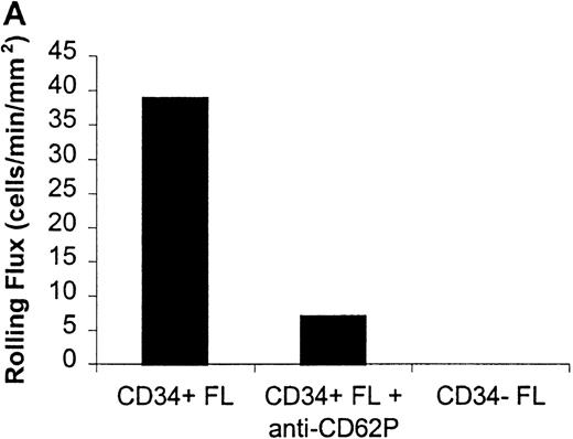 Fig. 1. Rolling flux of CD34+ and CD34− FL cells on P- and L-selectin at a shear rate of 210 s−1. / Cells were subjected to wall shear rates from 487 s−1to 77 s−1 on P- or L-selectin chimeras adsorbed at 2 μg/mL on silanated glass. Rolling flux, rolling velocity, and rolling concentration was determined at 10 shear rates on P- and L-selectin, but only the rolling flux at a representative shear rate of 210 s−1 is shown. In control experiments, chimera-coated slides were incubated with mAb. (A) Rolling flux on P-selectin. Control experiment used the anti-P selectin (CD62P) mAb, G1. (B) Rolling flux on L-selectin. Control experiment used the anti-L selectin (CD62L) mAb, DREG-56. Data presented are from single experiments.