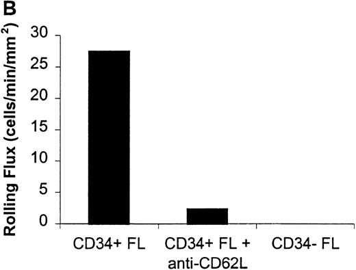 Fig. 1. Rolling flux of CD34+ and CD34− FL cells on P- and L-selectin at a shear rate of 210 s−1. / Cells were subjected to wall shear rates from 487 s−1to 77 s−1 on P- or L-selectin chimeras adsorbed at 2 μg/mL on silanated glass. Rolling flux, rolling velocity, and rolling concentration was determined at 10 shear rates on P- and L-selectin, but only the rolling flux at a representative shear rate of 210 s−1 is shown. In control experiments, chimera-coated slides were incubated with mAb. (A) Rolling flux on P-selectin. Control experiment used the anti-P selectin (CD62P) mAb, G1. (B) Rolling flux on L-selectin. Control experiment used the anti-L selectin (CD62L) mAb, DREG-56. Data presented are from single experiments.