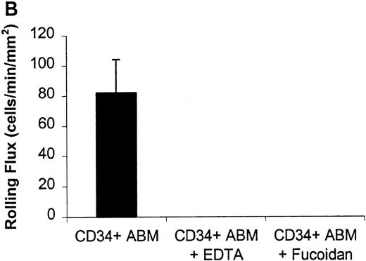 Fig. 2. Rolling flux of CD34+ ABM cells on P- and L-selectin at a shear rate of 210 s−1. / Rolling flux, rolling velocity, and rolling concentration were determined at 10 shear rates for P- and L-selectin, but only the rolling flux at a representative shear rate of 210 s−1 is shown. In control experiments, cells were perfused with 5 mmol/L EDTA or 10 μg/mL fucoidan. (A) Rolling flux on P-selectin chimera. (B) Rolling flux on L-selectin chimera. Data for control experiments represents single experiments and is compared with the mean rolling flux for 3 independent experiments ± SEM.