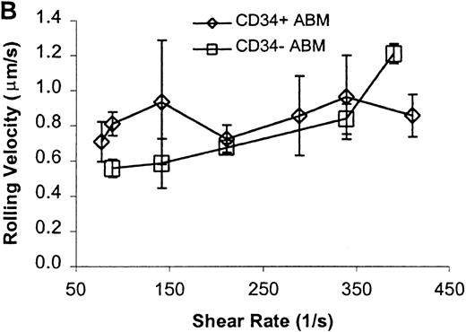 Fig. 3. CD34+ and CD34− ABM cells rolling on E-selectin. / Cells were subjected to wall shear rates from 487 s−1to 77 s−1 on E-selectin chimera adsorbed at 2 μg/mL on silanated glass. (A) Rolling flux. Rolling flux was determined at 10 shear rates for each experiment. (B) Rolling velocity. Rolling velocities were determined for every rolling cell at each shear rate for which there were 2 or more rolling cells and then averaged at each shear rate for each experiment. At higher shear rates for which there were < 2 rolling cells, mean rolling velocity is not presented. (C) Rolling concentration. Rolling concentration ( = rolling flux/mean rolling velocity) was determined at 10 shear rates for each experiment. Each data point represents results from 2 independent experiments. Data are presented as mean ± SEM.