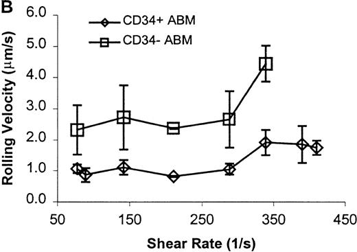 Fig. 4. CD34+ and CD34− ABM cells rolling on P-selectin. / Cells were subjected to wall shear rates from 487 s−1to 77 s−1 on P-selectin chimera adsorbed at 2 μg/mL on silanated glass. (A) Rolling flux. (B) Rolling velocity. (C) Rolling concentration. Each data point represents results from 3 independent experiments. Data are presented as mean ± SEM.