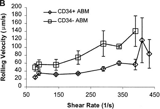 Fig. 5. CD34+ and CD34− ABM cells rolling on L-selectin. / Cells were subjected to wall shear rates from 487 s−1to 77 s−1 on L-selectin chimera adsorbed at 2 μg/mL on silanated glass. (A) Rolling flux. (B) Rolling velocity. (C) Rolling concentration. Each data point represents results from 3 independent experiments. Data are presented as mean ± SEM.