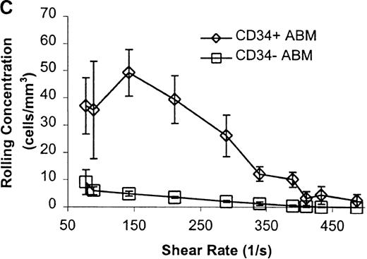 Fig. 5. CD34+ and CD34− ABM cells rolling on L-selectin. / Cells were subjected to wall shear rates from 487 s−1to 77 s−1 on L-selectin chimera adsorbed at 2 μg/mL on silanated glass. (A) Rolling flux. (B) Rolling velocity. (C) Rolling concentration. Each data point represents results from 3 independent experiments. Data are presented as mean ± SEM.