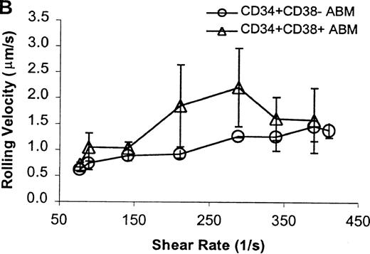 Fig. 7. CD34+CD38− ABM and CD34+CD38+ ABM cells rolling on P-selectin. / (A) Rolling flux. (B) Rolling velocity. (C) Rolling concentration. Each data point represents results from 3 independent experiments. Data are presented as mean ± SEM.