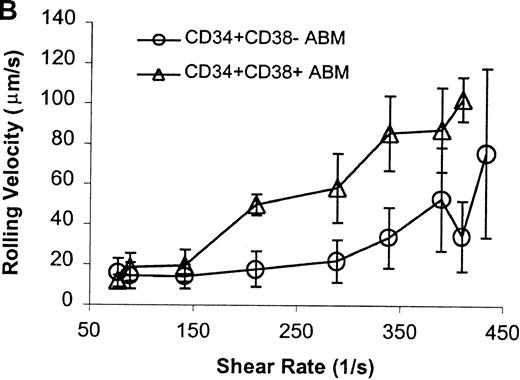 Fig. 8. CD34+CD38− ABM and CD34+CD38+ ABM cells rolling on L-selectin. / (A) Rolling flux. (B) Rolling velocity. (C) Rolling concentration. Each data point represents results from 3 independent experiments. Data are presented as mean ± SEM.