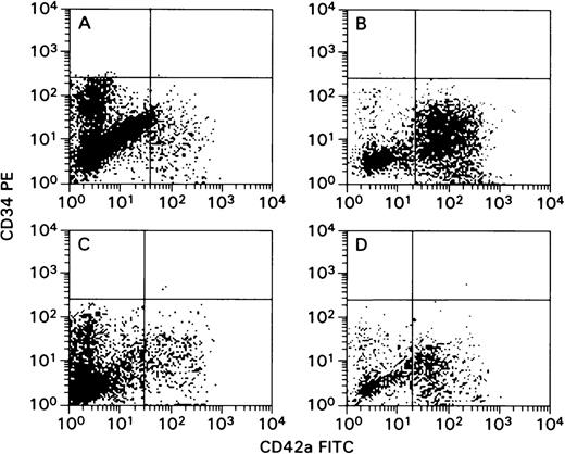 Fig. 3. Flow cytometric analysis of magnetic bead-purified CD42a+ cells derived from CD34+ cell cultures supplemented with thrombopoietin. / Cultured cells were harvested from TPO-supplemented cultures of CD34+ cells using magnetic beads based on peak expression of CD42a antigen after 12 days of culture. Gates were set based on the isotypic controls. Log PE fluorescence activity (CD34) versus log fluorescein isothiocyanate activity (CD42a). (A, C) Cells before CD42a-enrichment step. (B, D) Cells after enrichment step. (A, B) Cells derived from uninfected cultures. (C, D) Cells derived from infected cultures.