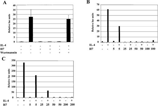 Fig. 4. IL-4-induced activation of Igɛ-RE reporter is inhibited by H7 but not by wortmannin. / (A) HepG2 cells were transfected with Igε-RE reporter construct (0.5 μg) together with a β-galactosidase vector (0.2 μg). Forty-eight hours after transfection, the cells were treated with IL-4 (10 ng/mL), H7 (200 μmol/L), or wortmannin (1 μmol/L) as indicated for 6 hours, and β-galactosidase and luciferase activities were measured. The luciferase values were normalized against β-galactosidase. Mean values of 3 independent experiments with SD are shown. (B) HepG2 cells transfected with Igε-RE reporter and treated with IL-4 and different concentrations of H7 for 6 hours, as indicated, and luciferase and β-galactosidase activities were measured. (C) Human 293T cells were transfected with Stat6 expression vector (0.15 μg), together with Igε-RE and β-galactosidase vectors. H7 and IL-4 treatments were performed as described above, and luciferase and β-galactosidase values were measured.