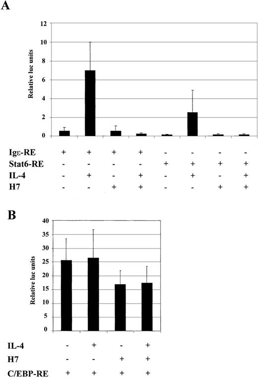 Fig. 6. H7 inhibits IL-4-stimulated transcription of Stat6-RE reporter construct. / Luciferase construct from human Igε promoter containing 3 repeats of Stat6 binding sites (3 × AATCGACTTCCCAAGAACAG) (Stat6-RE) and 4 repeats of C/EBP binding sites (4 × GCTGTTGCTCAATCGAC) (C/EBP-RE) were analyzed. (A) Stat6-RE and Igε reporter constructs were transfected into COS-7 cells, together with β-galactosidase and Stat6 expression vectors. (B) C/EBP-RE reporter construct was transfected into HepG2 cells, together with β-galactosidase expression vector. O/N-starved cells were treated with IL-4 (10 ng/mL) and H7 (100 μmol/L), as indicated. β-Galactosidase and luciferase values were measured. Luciferase values were normalized against β-galactosidase, and mean values of 3 (A) and 7 (B) independent experiments with SD are shown.