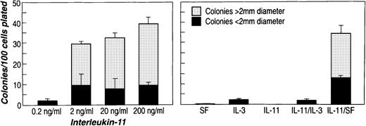 Fig. 1. Effects of rhIL-11 on colony formation of murine bone marrow 2d 5FU Lin−Sca-1+c-kit+ cells. / Sorted bone marrow cells (100-200 cells) were plated in 0.8% methylcellulose containing aMEM medium and 30% FCS in a total volume of 1.5 mL. (left) Culture contained 100 ng/mL rmSF. (right) Culture was supplemented with purified cytokines at the following concentrations: 100 ng/mL rhIL-11 and rmSF and 20 ng/mL rmIL-3. Target cell population in each panel was Lin−Sca-1+c-kit+ cells from 2d 5FU-treated C57Bl/6 mice. Colony number and size were scored after 10 to 12 days of incubation.