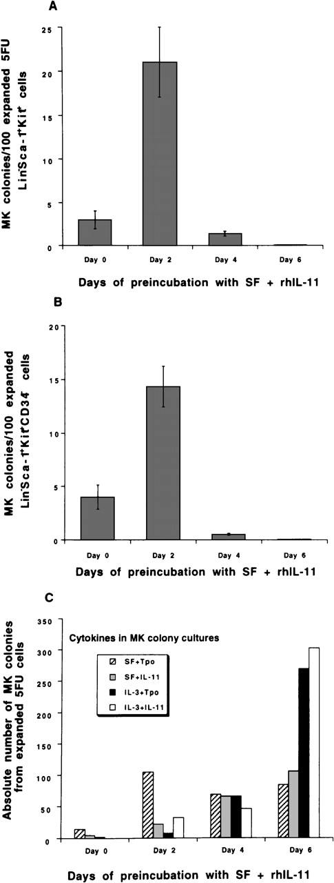 Fig. 2. Effects of rhIL-11 on MK progenitor formation from murine bone marrow primitive progenitor-enriched subpopulations. / Sorted subpopulations were isolated from the bone marrow of 5–fluorouracil-treated (A,C) and normal (B) mice as described in “Materials and Methods.” Two thousand Lin−Sca-1+c-kit+ (A,C) and Lin−Sca-1+c-kit+CD34−(B) cells/mL were plated in liquid cultures with 50 ng/mL SF and 50 ng/mL rhIL-11. Cells were removed from the cultures on specified days and were replated as follows: 400 cells/mL on days 0 and 2; 2000 cells/mL on day 4; and 40 000 cells/mL on day 6 in semisolid agar medium with either designated cytokine combinations (50 ng/mL SF, 20 ng/mL IL-3, 10-50 ng/mL rhIL-11, 50-100 ng/mL Tpo) (C) or 50 ng/mL SF plus 50 to 100 ng/mL Tpo (A,B). After 7 days of incubation at 37°C, 5% CO2, plates were dried, fixed, and stained for the detection of acetylcholinesterase activity (MK cells). Clusters of 3 or more stained cells were scored as MK colonies. Absolute numbers of MK progenitors (C) are based on culturing 500 sorted cells. Results are representative of 3 to 5 separate experiments.