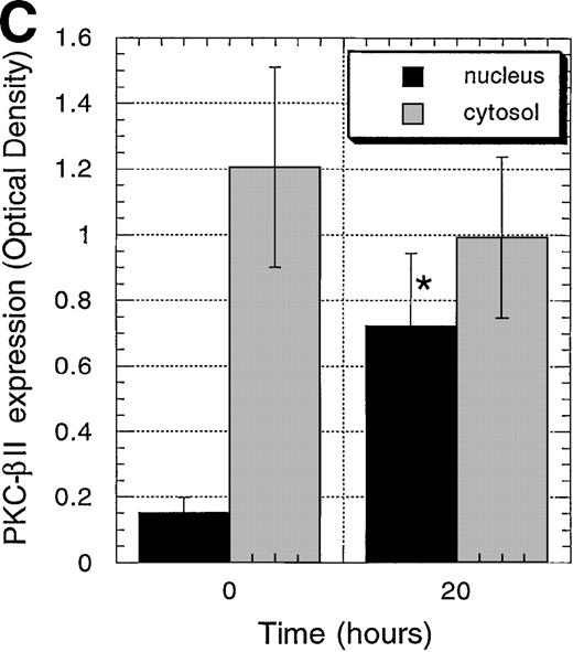 Fig. 4. Protein expression of PKC-, PKC-β2, and PKC-ɛ in cytosolic and nuclear fraction of CD34+ cells during EPO stimulation for various times. / CD34+ cells were cultured in medium alone for 24 hours before the addition of EPO (5 U/mL) and then were incubated for various times before cytosolic and nuclear proteins were prepared. The protein expression of PKC-α, PKC-β2, and PKC-ε was determined by Western blotting. (A) A representative of 5 separate experiments is shown. *, not performed. (B) Optical density of PKC-α determined by densitometric imaging of hyperfilms is shown. Mean ± SEM of 5 separate experiments (*P = .028, n = 5). (C) Optical density of PKC-β2 determined by densitometric imaging of hyperfilms is shown. Mean ± SEM of 5 separate experiments (*P = .047, n = 5). (D) Optical density of PKC-ε determined by densitometric imaging of hyperfilms is shown. Mean ± SEM of 3 separate experiments.