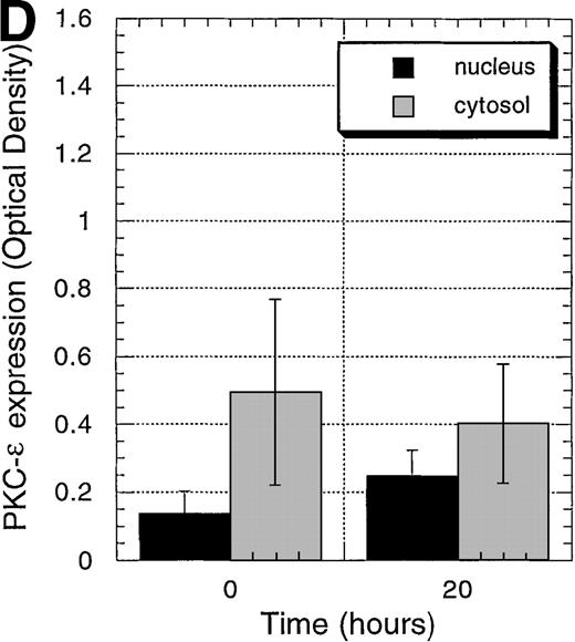 Fig. 4. Protein expression of PKC-, PKC-β2, and PKC-ɛ in cytosolic and nuclear fraction of CD34+ cells during EPO stimulation for various times. / CD34+ cells were cultured in medium alone for 24 hours before the addition of EPO (5 U/mL) and then were incubated for various times before cytosolic and nuclear proteins were prepared. The protein expression of PKC-α, PKC-β2, and PKC-ε was determined by Western blotting. (A) A representative of 5 separate experiments is shown. *, not performed. (B) Optical density of PKC-α determined by densitometric imaging of hyperfilms is shown. Mean ± SEM of 5 separate experiments (*P = .028, n = 5). (C) Optical density of PKC-β2 determined by densitometric imaging of hyperfilms is shown. Mean ± SEM of 5 separate experiments (*P = .047, n = 5). (D) Optical density of PKC-ε determined by densitometric imaging of hyperfilms is shown. Mean ± SEM of 3 separate experiments.