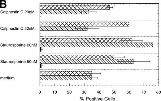 Fig. 5. Effect of the PKC inhibitors staurosporine and calphostin C on the EPO-induced erythroid differentiation of CD34+cells. / CD34+ cells were cultured in medium alone or in the presence of EPO (5 U/mL) or EPO (5 U/mL) and SCF (50 ng/mL), with or without staurosporine (50 nmol/L or 20 nmol/L) or calphostin C (50 nmol/L or 20 nmol/L) for 7 days and then stained with the indicated monoclonal antibodies. (A) Immunophenotyping of CD34+ cells cultured in the presence of EPO and SCF without or with staurosporine (50 nM) or calphostin C (50 nM). A representative of 6 separate experiments is shown. GPA, glycophorin A. CD34+ cells with or without staurosporine or calphostin C were cultured in medium alone (B), in the presence of EPO (C), or in the presence of EPO and SCF (D). indicates the percentage of GPA+ cells, ▧, CD13+ cells, and ▩, of CD15+ cells. Mean ± SEM of 6 separate experiments (3 for the calphostin C results).