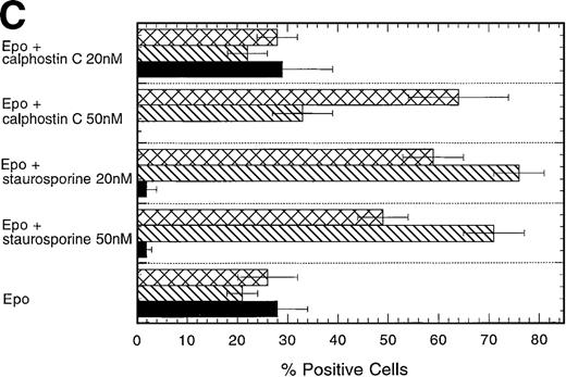 Fig. 5. Effect of the PKC inhibitors staurosporine and calphostin C on the EPO-induced erythroid differentiation of CD34+cells. / CD34+ cells were cultured in medium alone or in the presence of EPO (5 U/mL) or EPO (5 U/mL) and SCF (50 ng/mL), with or without staurosporine (50 nmol/L or 20 nmol/L) or calphostin C (50 nmol/L or 20 nmol/L) for 7 days and then stained with the indicated monoclonal antibodies. (A) Immunophenotyping of CD34+ cells cultured in the presence of EPO and SCF without or with staurosporine (50 nM) or calphostin C (50 nM). A representative of 6 separate experiments is shown. GPA, glycophorin A. CD34+ cells with or without staurosporine or calphostin C were cultured in medium alone (B), in the presence of EPO (C), or in the presence of EPO and SCF (D). indicates the percentage of GPA+ cells, ▧, CD13+ cells, and ▩, of CD15+ cells. Mean ± SEM of 6 separate experiments (3 for the calphostin C results).