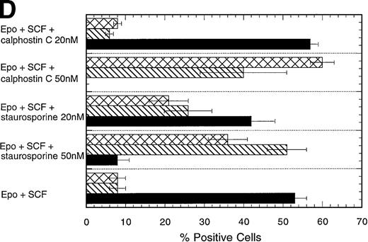 Fig. 5. Effect of the PKC inhibitors staurosporine and calphostin C on the EPO-induced erythroid differentiation of CD34+cells. / CD34+ cells were cultured in medium alone or in the presence of EPO (5 U/mL) or EPO (5 U/mL) and SCF (50 ng/mL), with or without staurosporine (50 nmol/L or 20 nmol/L) or calphostin C (50 nmol/L or 20 nmol/L) for 7 days and then stained with the indicated monoclonal antibodies. (A) Immunophenotyping of CD34+ cells cultured in the presence of EPO and SCF without or with staurosporine (50 nM) or calphostin C (50 nM). A representative of 6 separate experiments is shown. GPA, glycophorin A. CD34+ cells with or without staurosporine or calphostin C were cultured in medium alone (B), in the presence of EPO (C), or in the presence of EPO and SCF (D). indicates the percentage of GPA+ cells, ▧, CD13+ cells, and ▩, of CD15+ cells. Mean ± SEM of 6 separate experiments (3 for the calphostin C results).