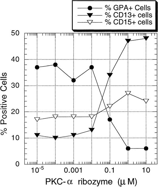 Fig. 7. Concentration-dependent inhibition of EPO-induced erythroid differentiation of CD34+ cells by PKC- ribozyme. / CD34+ cells were incubated at 30 000 cells/well in flat-bottomed, 96-well plates with different concentrations of PKC-α ribozyme for 24 hours. The cells were then stimulated with EPO (5 U/mL) and SCF (50 ng/mL) and cultured for 7 days before they were stained with the indicated mAbs. One representative of 4 separate experiments is shown.