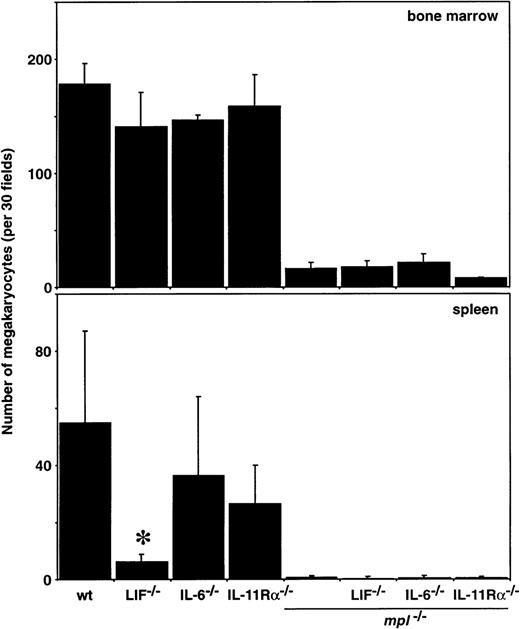 Fig. 2. Megakaryocytes in the bone marrow and spleen of double mutant mice. / Megakaryocyte numbers in histologic sections of sternal marrow and spleen from wild-type (wt) mice and mice lacking c-mpl, LIF, IL-6, IL-11 receptor alpha-chain (IL-11Rα) or combinations of these genes are shown. The means ± SD of megakaryocyte numbers per 30 high power fields (bone marrow, × 400; spleen, × 200) were calculated from samples taken from 2 to 9 mice per genotype. *P < .05 for comparison of LIF-/-, IL-6-/-, or IL-11Rα-/-with wt or of LIF-/-mpl-/-, IL-6-/-mpl-/-, or IL-11Rα-/-mpl-/- withmpl-/-. No other statistically significant differences were observed.