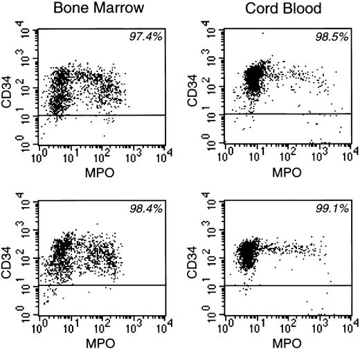 Fig. 1. CD34 and MPO expression of enriched normal CD34+ cells from 2 bone marrow and 2 cord blood samples before culture. / The percentage of CD34+ cells in each experiment is indicated.