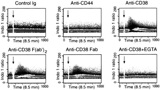 Fig. 8. CD38 ligation in 32D cells expressing human CD38 induces Ca++ and influx. / Cells were loaded with Indo-1. A shift in Indo-1 fluorescence was induced by the addition of anti-CD38 (THB7) as a whole Ig and F(ab′)2 and Fab fragments. The shift was abrogated by the presence of 5 mM EGTA and was not induced by an isotype-matched nonreactive or by an antibody to CD44, a surface molecule highly expressed in 32D cells.