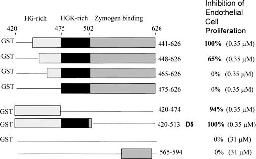 Fig. 1. Schematic structures of the HK deletion mutants of D5 and D6 and inhibition of endothelial proliferation. / The HG-rich (light gray) and HGK-rich (black) regions of D5 and D6 (dark gray) are shown. Deletions are represented by a line. Mutants are fused to glutathione-S-transferase (GST) at the N-terminal. GST without HK sequence is indicated by a line. The bottom construct is a synthetic peptide from D6.