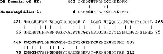 Fig. 2. Alignment of HK D5 and hisactophilin. / A vertical line equals identity; 2 dots represent similarity.