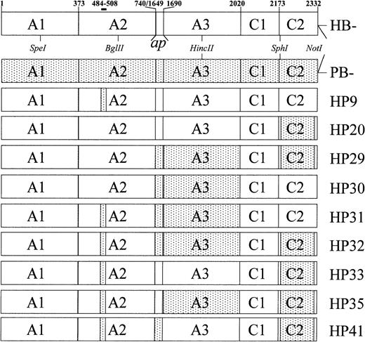Fig. 1. Domain structure of recombinant fVIII constructs. / Amino acid numbering refers to mature, full-length human fVIII. The A3, C1, and C2 domains are defined as amino acids 1690-2019, 2020-2172, and 2173-2332, respectively.36 The light chain activation peptide, ap, corresponds to amino acids 1649-1689. The constructs lack the B domain, which is defined as amino acids 741-1648. Stippled regions indicate areas of porcine substitution. Boundaries are defined by amino acids in which porcine and human fVIII differ. Porcine A2, ap, A3, and C2 substitutions correspond to amino acids 484-508, 1649-1687, 1694-2019, and 2181-2321, respectively.