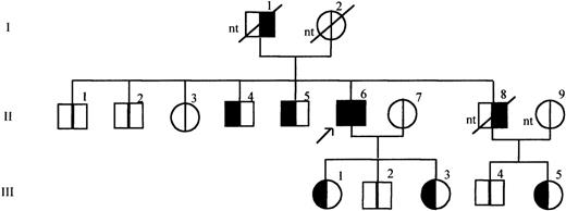 Fig. 3. Pedigree of the propositus with mutation insT 1689 in the TM gene. / The propositus is indicated by the arrow. Generations are indicated on the left, by roman numerals, individuals in each generation are numbered at the top of the symbols. Clinical data referring to each family member are summarized in Table 1. For each individual the left half of the symbol in black indicates presence of the mutation and the right half of the symbol in black indicates MI in history. nt: not tested.