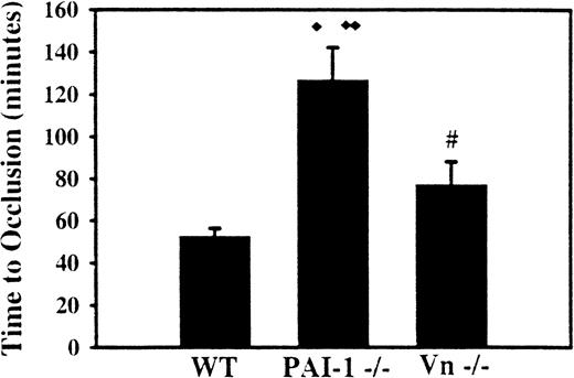 Fig. 1. Effect of PAI-1 and VN deficiency on arterial thrombosis. / The carotid arteries of WT mice, mice deficient in PAI-1, and mice deficient in VN were continuously monitored for flow following photochemical injury to the mid common carotid artery. The average time to occlusive thrombosis was longer in mice deficient in PAI-1 and in mice deficient in VN compared with WT mice. The time to clot in PAI-1-deficient mice was also longer than that of VN-deficient mice. ♦, P < .03 compared with VN -/-mice; ♦♦,P < .0001 compared with WT mice; #, P < .01 compared with WT mice.
