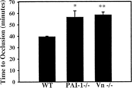 Fig. 2. Effect of PAI-1 and VN deficiency on venous thrombosis. / The internal jugular veins of WT, PAI-1-deficient, and VN-deficient mice were continuously monitored for flow following photochemical injury to the internal jugular vein. The average time to occlusive thrombosis was longer in mice deficient in PAI-1 and in mice deficient in VN compared with WT mice. *P < .04 compared with WT; **P < .01 compared with WT mice.