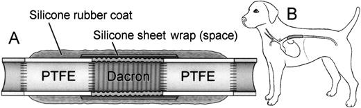 Fig. 1. Scheme of experimental model. / (A) Design of composite graft. (B) Implantation in the descending thoracic aorta.