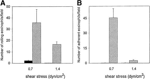 Fig. 1. Eosinophil rolling on VCAM-1 in vitro. / Eosinophils were infused at a flow rate of 0.7 and 1.4 dyn/cm2 into a parallel plate flow chamber containing VCAM-1– or BSA-coated coverslips. The number of rolling eosinophils (A) and adherent eosinophils (B) during continuous flow periods of 2 minutes were recorded and subjected to offline analysis. Results of experiments performed are presented as the mean ± SEM (n = 4 experiments). At flow rates of 0.7 dyn/cm2, significant numbers of eosinophils rolled on VCAM-1 (P = .001 vs BSA) and adhered to VCAM-1 (P = .001 vs BSA). At flow rates of 1.4 dyn/cm2, significant numbers of eosinophils rolled on VCAM-1 (P = .001 vs BSA), but the number of eosinophils adherent to VCAM-1 was significantly reduced. Solid bar, BSA; hatched bar, VCAM-1.