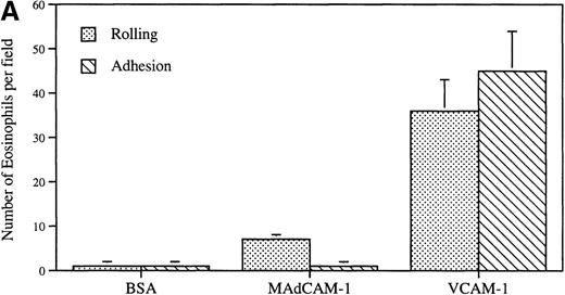 Fig. 2. Eosinophil flow and static adhesion to MAdCAM-1. / (A) Flow chamber study. Eosinophils were infused at a flow rate of 0.7 dyn/cm2 into a parallel plate flow chamber containing MAdCAM-1–, VCAM-1–, or BSA-coated coverslips. The number of rolling eosinophils and adherent eosinophils during continuous flow periods of 2 minutes was recorded and subjected to offline analysis. Results of experiments performed are presented as the mean ± SEM (n = 4 experiments). At flow rates of 0.7 dyn/cm2, significant numbers of eosinophils rolled on VCAM-1 (P = .001 vs BSA) and adhered to VCAM-1 (P = .001 vs BSA). At the same flow rate, significantly fewer eosinophils rolled on MAdCAM-1 compared with VCAM-1 (P = .001) with few rolling eosinophils remaining firmly adherent to MAdCAM-1. (B) Static adhesion assay. Eosinophils were allowed to adhere for 30 minutes to a MAdCAM-1– or BSA-coated coverslip that had been subjected either to no shear stress (preflow panel) or to 1.4 dyn/cm2 shear stress (to simulate whether flow would strip MAdCAM-1 from the coverslip) (postflow panel). Nonadherent cells were then washed from the coverslip, and the coverslip was placed in the flow chamber. The number of adherent eosinophils was recorded on videotape. In the detachment panel, the eosinophils that had adhered to MAdCAM-1 (preflow panel) were subjected to shear stress (20 dyn/cm2) to determine whether the firmly adherent eosinophils were resistant to detachment from MAdCAM-1. There was no significant difference in the number of eosinophils adherent to MAdCAM-1 before and after application of shear force to the coverslip (preflow vs postflow) or after application of shear force to eosinophils adherent to MAdCAM-1 (P = not significant) (n = 3).
