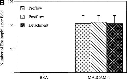 Fig. 2. Eosinophil flow and static adhesion to MAdCAM-1. / (A) Flow chamber study. Eosinophils were infused at a flow rate of 0.7 dyn/cm2 into a parallel plate flow chamber containing MAdCAM-1–, VCAM-1–, or BSA-coated coverslips. The number of rolling eosinophils and adherent eosinophils during continuous flow periods of 2 minutes was recorded and subjected to offline analysis. Results of experiments performed are presented as the mean ± SEM (n = 4 experiments). At flow rates of 0.7 dyn/cm2, significant numbers of eosinophils rolled on VCAM-1 (P = .001 vs BSA) and adhered to VCAM-1 (P = .001 vs BSA). At the same flow rate, significantly fewer eosinophils rolled on MAdCAM-1 compared with VCAM-1 (P = .001) with few rolling eosinophils remaining firmly adherent to MAdCAM-1. (B) Static adhesion assay. Eosinophils were allowed to adhere for 30 minutes to a MAdCAM-1– or BSA-coated coverslip that had been subjected either to no shear stress (preflow panel) or to 1.4 dyn/cm2 shear stress (to simulate whether flow would strip MAdCAM-1 from the coverslip) (postflow panel). Nonadherent cells were then washed from the coverslip, and the coverslip was placed in the flow chamber. The number of adherent eosinophils was recorded on videotape. In the detachment panel, the eosinophils that had adhered to MAdCAM-1 (preflow panel) were subjected to shear stress (20 dyn/cm2) to determine whether the firmly adherent eosinophils were resistant to detachment from MAdCAM-1. There was no significant difference in the number of eosinophils adherent to MAdCAM-1 before and after application of shear force to the coverslip (preflow vs postflow) or after application of shear force to eosinophils adherent to MAdCAM-1 (P = not significant) (n = 3).